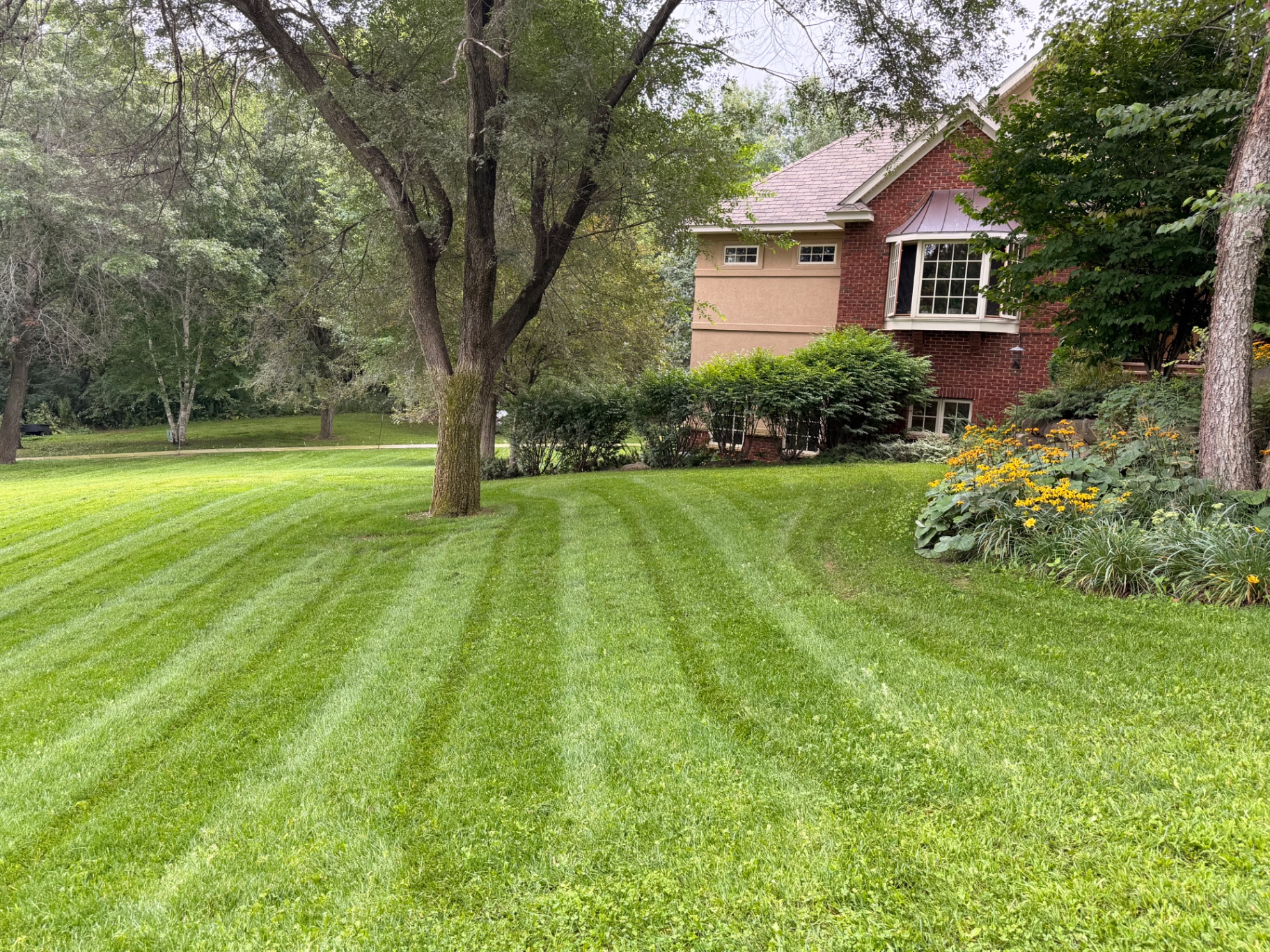 Striped, freshly mowed residential lawn maintained by North Star Turf